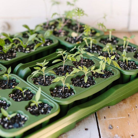 GreenStalk Seed Starting Kit