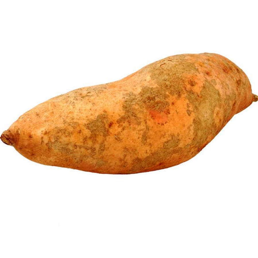 Vardaman Sweet Potato Slips