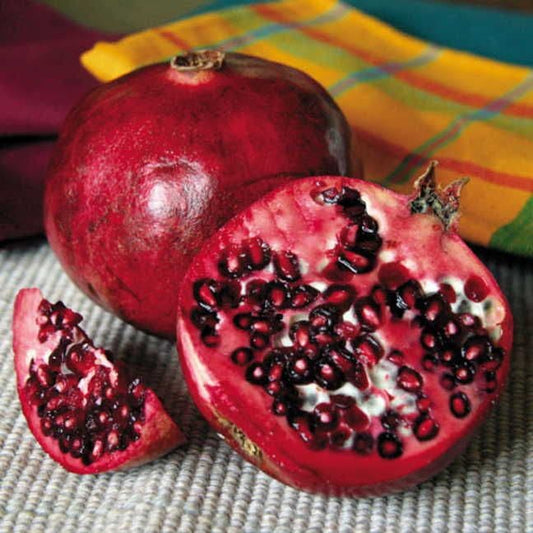 Punica Favorite™ Pomegranate