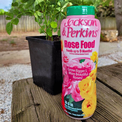 onion peel fertilizer for rose plant Jackson & Perkins® Dynamite™ Select Rose Fertilizer