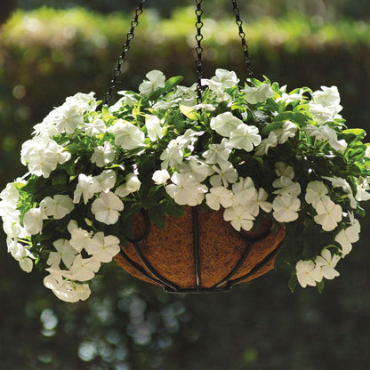 Mediterranean XP White Vinca Seeds