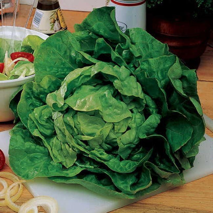 lettuce seed tape for planting Sow Effortless Collection™ Buttercrunch Lettuce Seed Tape