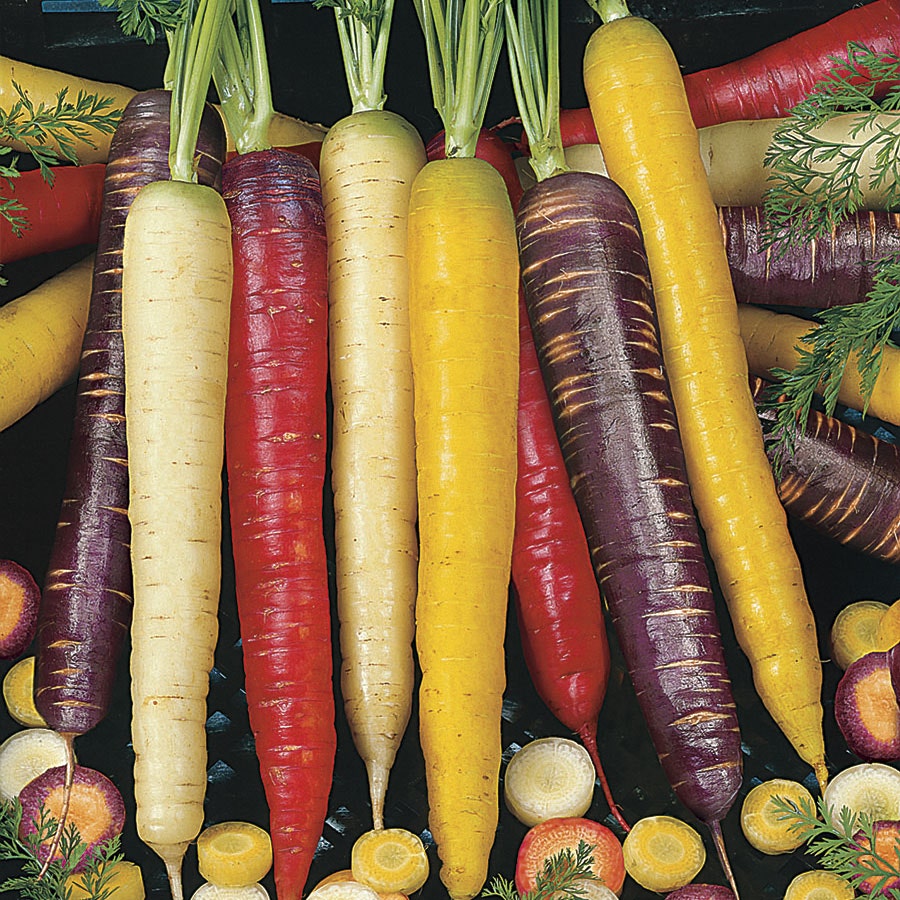 Sow Effortless Collection™ Rainbow Blend Carrot Seed Tape