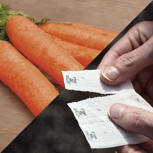 Sow Effortless Collection™ Little Finger Carrot Seed Tape