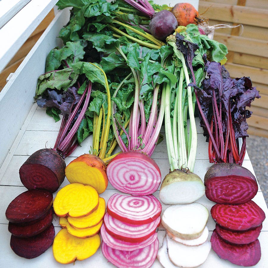 Sow Effortless Collection™ Rainbow Mix Beet Seed Tape