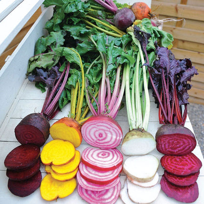 Sow Effortless Collection™ Rainbow Mix Beet Seed Tape