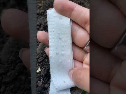 Sow Effortless Collection™ Organic Tricolor Romaine Blend Seed Tape