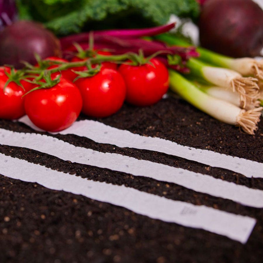 Sow Effortless Collection™ Organic Tricolor Romaine Blend Seed Tape