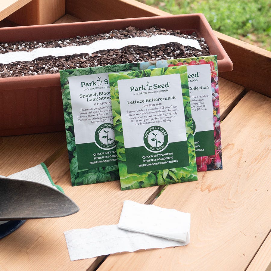 Sow Effortless Collection™ Organic Tricolor Romaine Blend Seed Tape