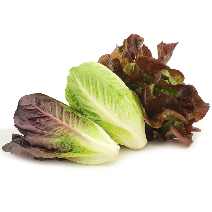 Sow Effortless Collection™ Organic Tricolor Romaine Blend Seed Tape