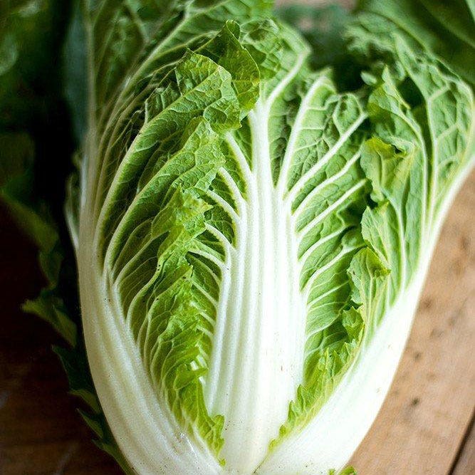 Emiko Hybrid Organic Chinese Cabbage Seeds