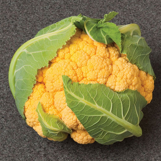 Flame Star Hybrid Cauliflower Seeds