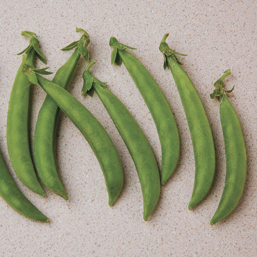 Snak Hero Snap Pea Seeds