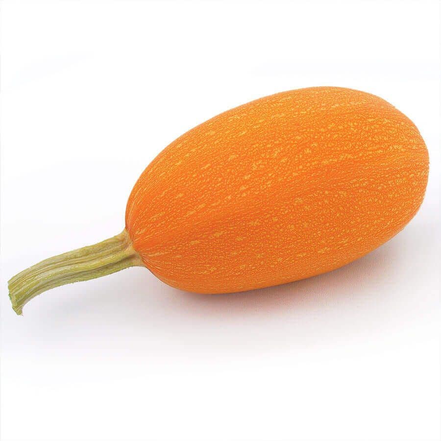 Orangetti Spaghetti Organic Squash Seeds