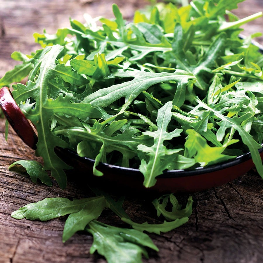 Speedy Arugula Seeds