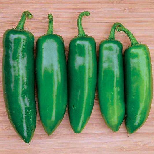 Tricked You Hybrid Pepper Seeds