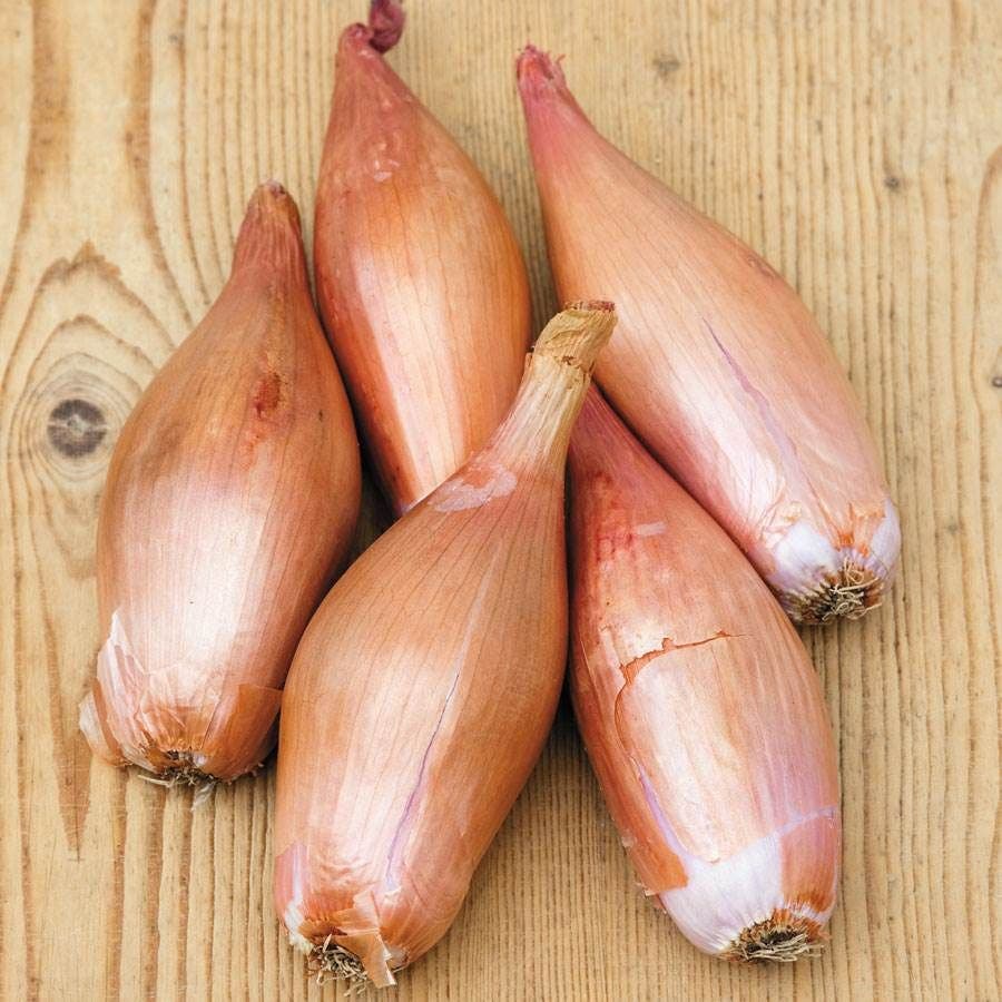 Zebrune Shallot Seeds
