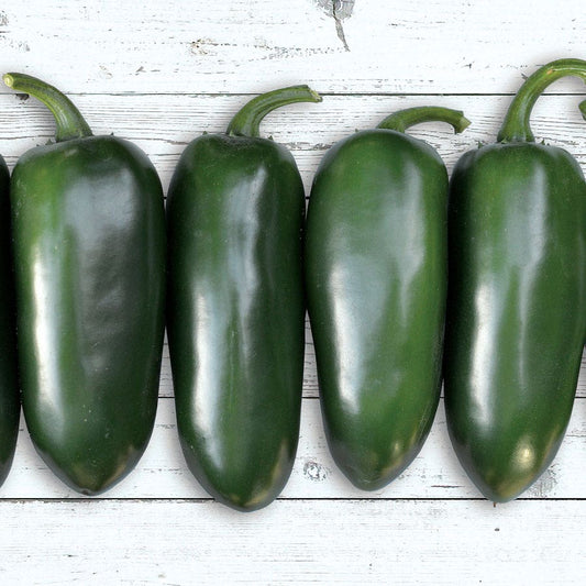 Emerald Fire Hybrid Pepper Seeds