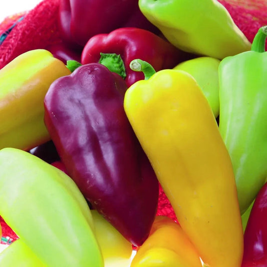 Pretty N Sweet Hybrid Ornamental Pepper Seeds