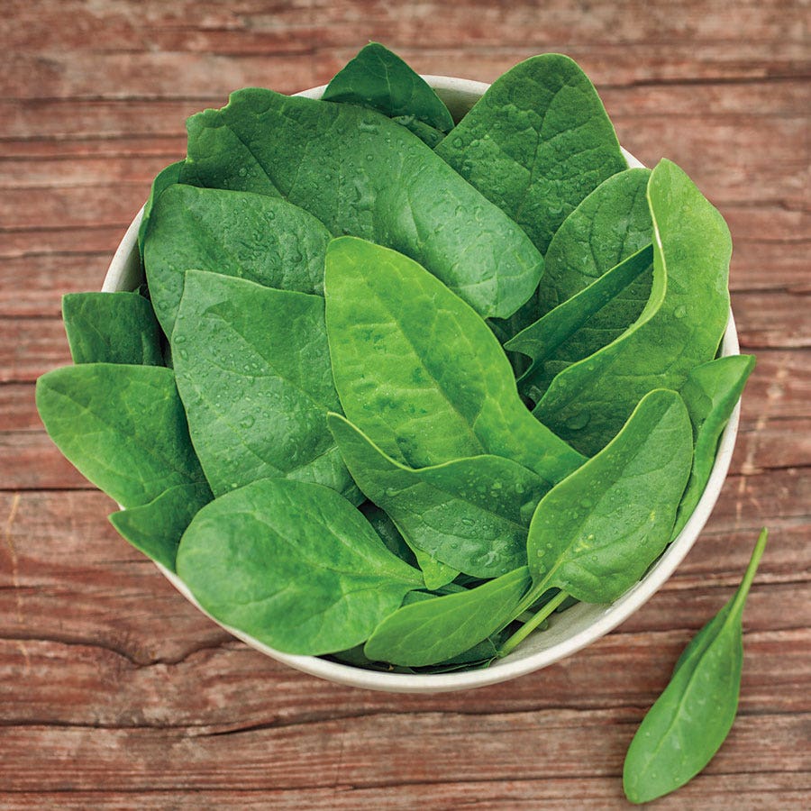 Baby Leaf Riverside Spinach Seeds