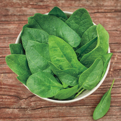 Baby Leaf Riverside Spinach Seeds