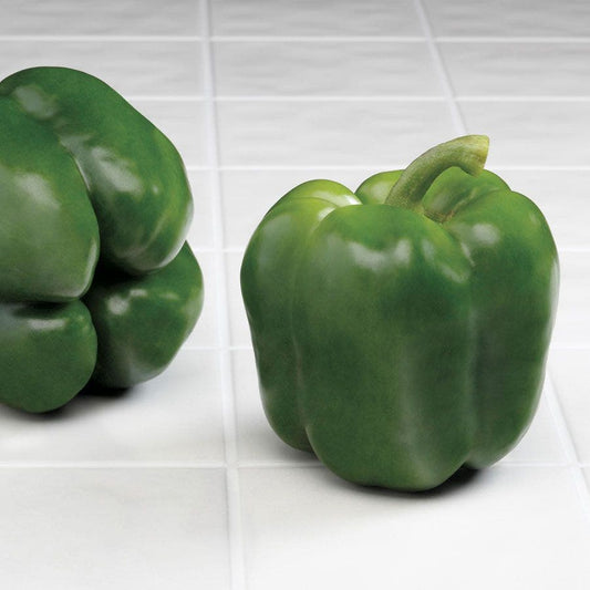 Cutlass Hybrid Pepper Seeds