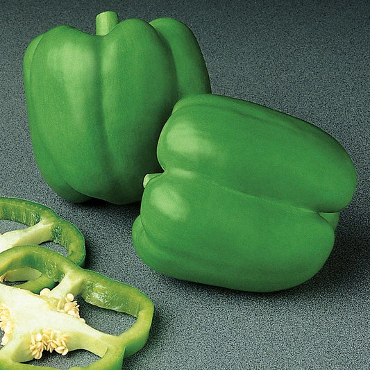 Encore Hybrid Pepper Seeds