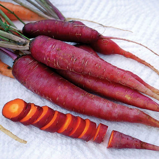 Dragon Purple Carrot Seeds - Heirloom