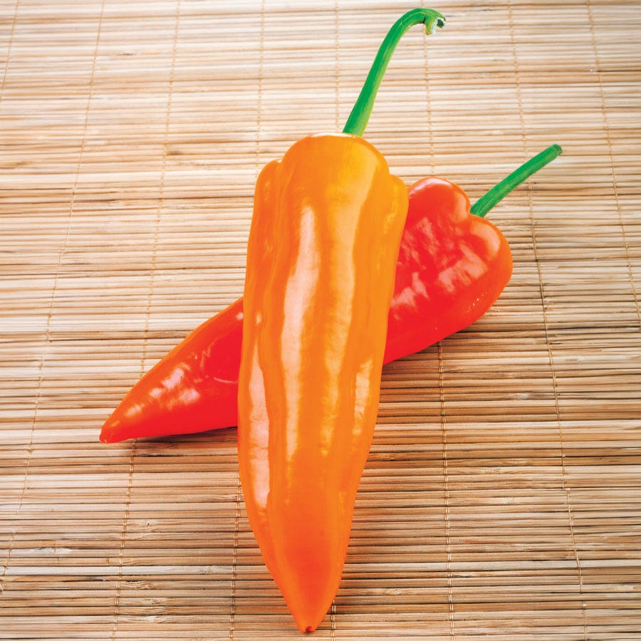Oranos Organic Pepper Seeds