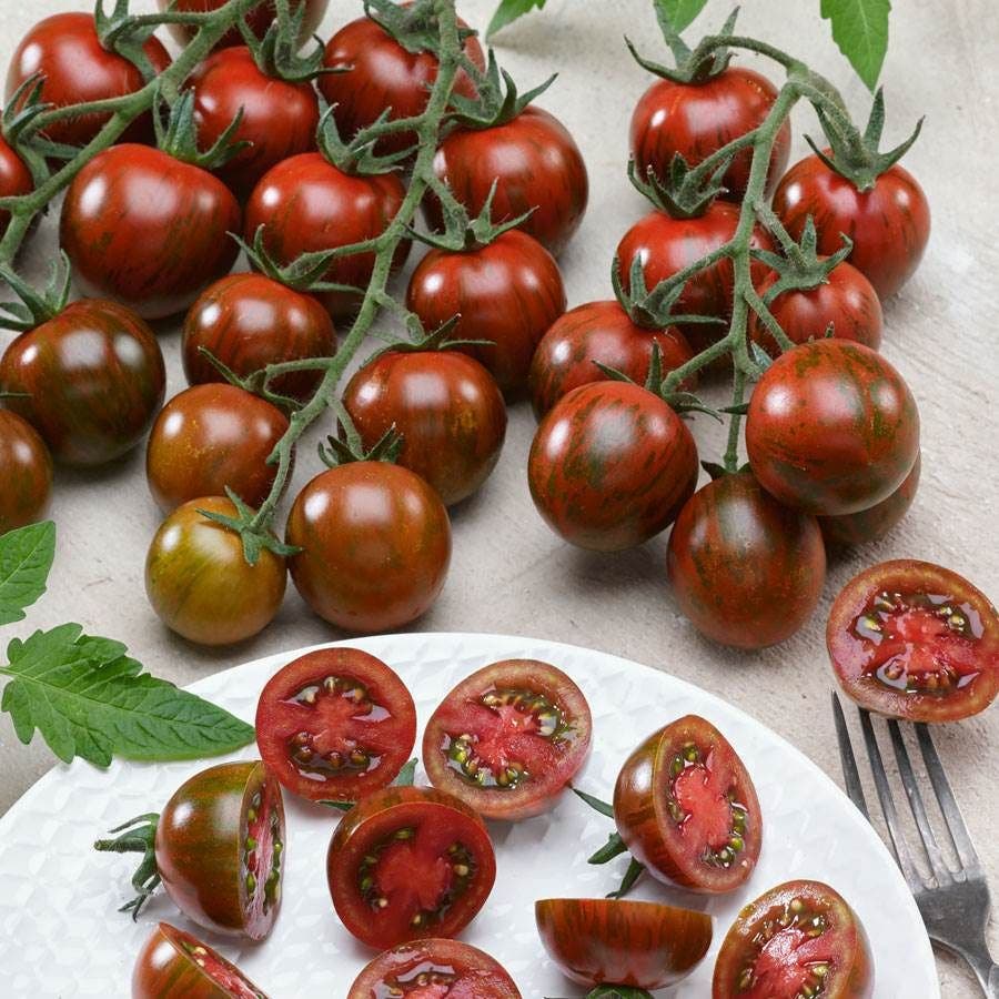 Gum Drop Black Cherry Tomato Seeds - F1 Hybrid