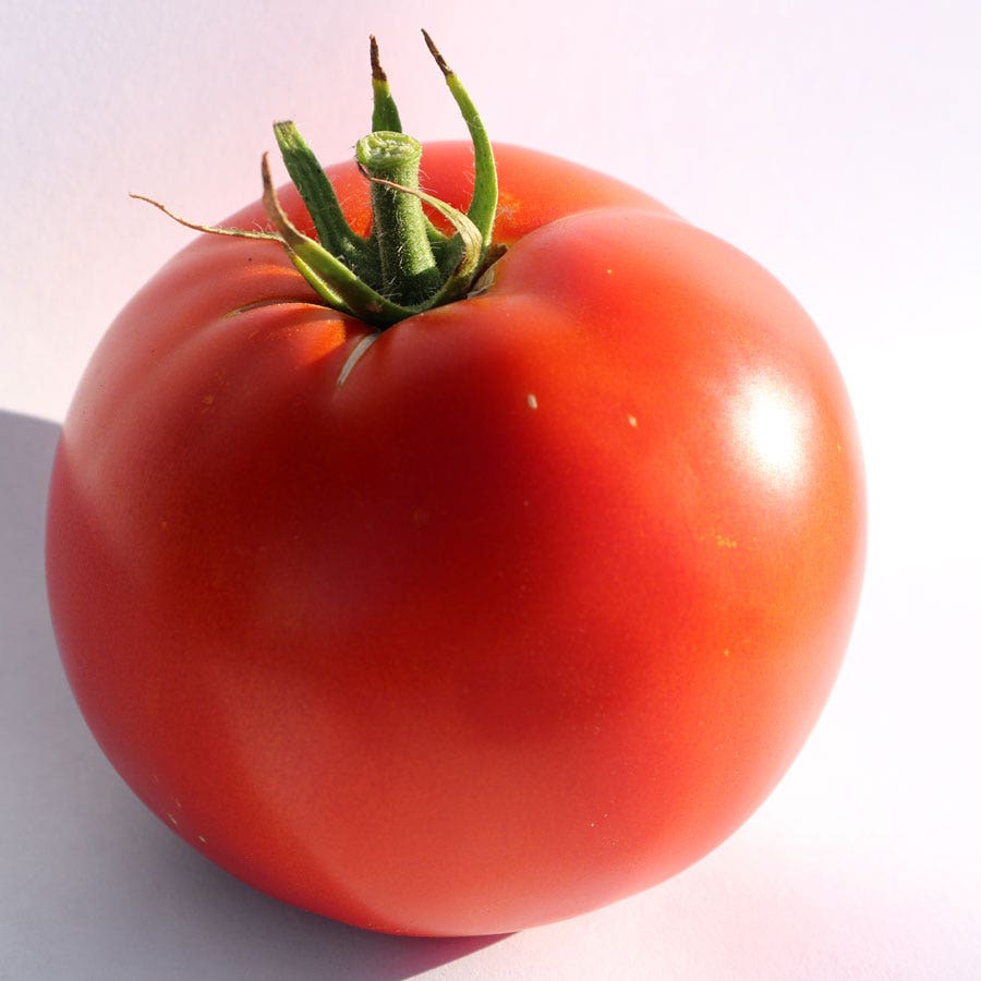 Big Beef Plus Big Tomato Seeds