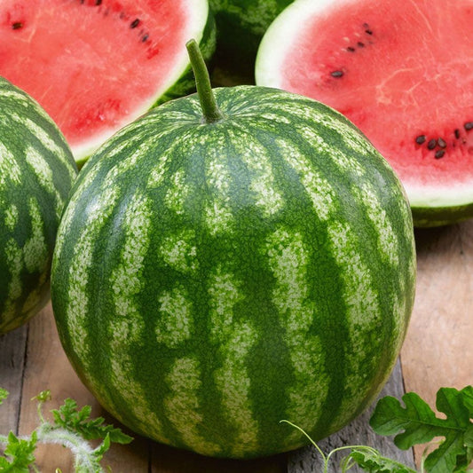 Cal Sweet Bush Watermelon Seeds