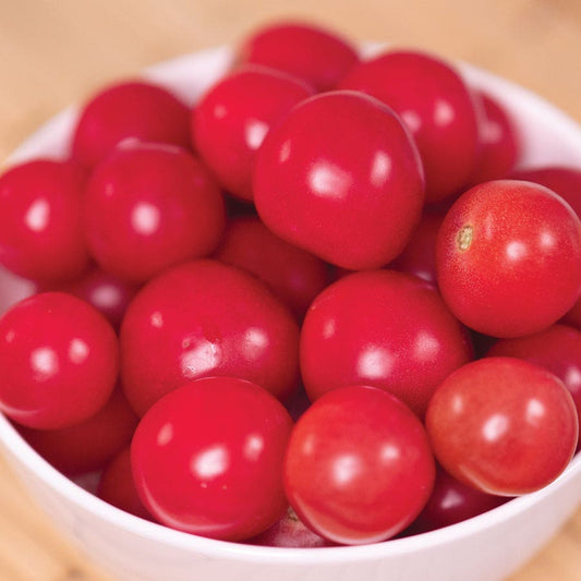 Park's Junior Whopper Pink Hybrid Tomato Seeds