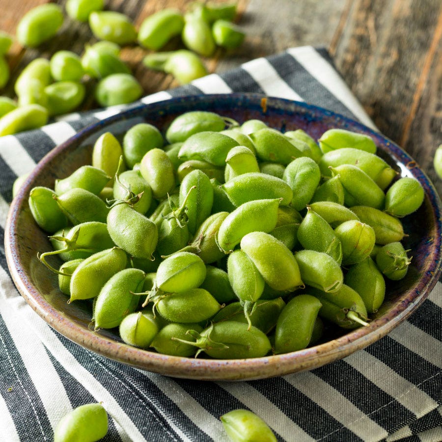 Organic Garbanzo Garden Bean Seeds