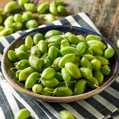 Organic Garbanzo Garden Bean Seeds