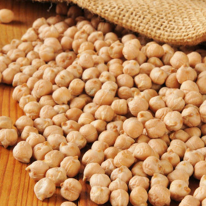 Organic Garbanzo Garden Bean Seeds