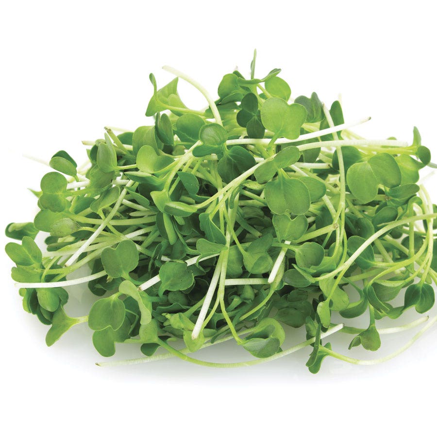 Sow Effortless Collection™ Organic Arugula Microgreen Seed Mats Set of 2
