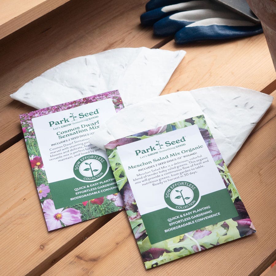 Sow Effortless Collection™ Organic Mesclun Mix Seed Discs Set of 2