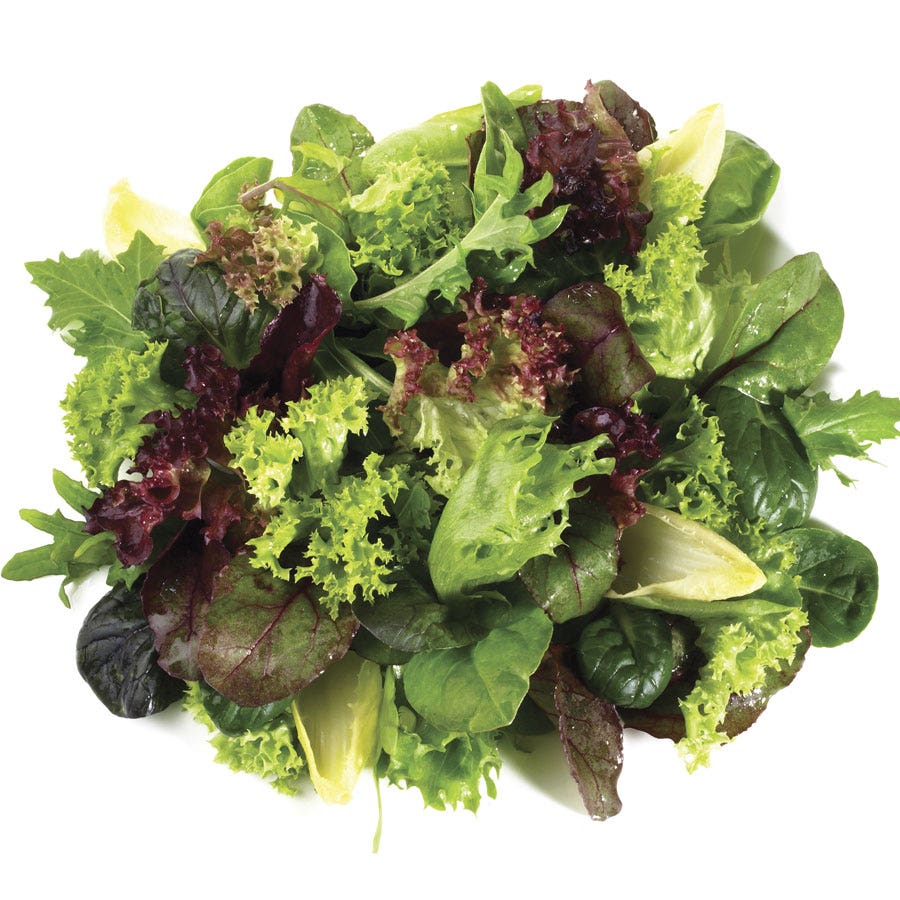 Sow Effortless Collection™ Organic Mesclun Mix Seed Discs Set of 2
