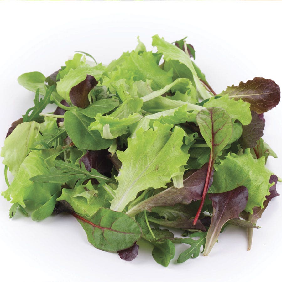Sow Effortless Collection™ Organic Mesclun Mix Seed Discs Set of 2