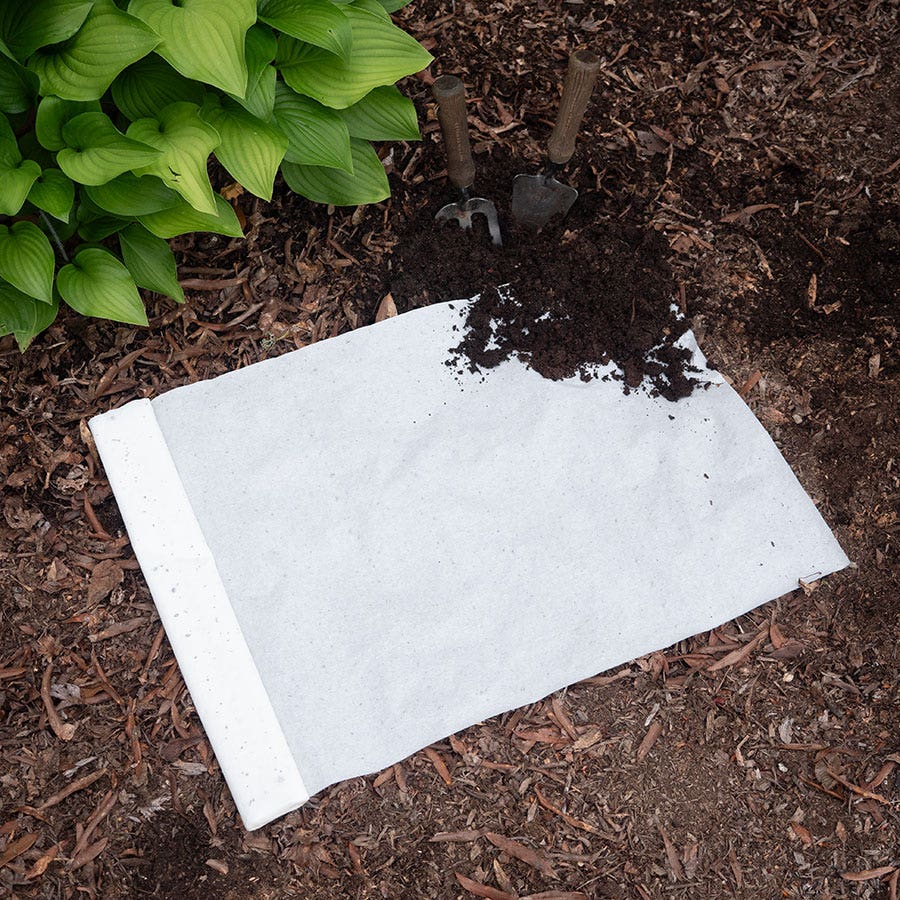 Sow Effortless Collection™ Marigold Sparky Mix Seed Mat