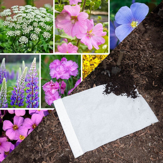 Sow Effortless Collection™ Perennial Mix Seed Mat