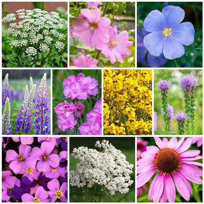 flower seed mats Sow Effortless Collection™ Perennial Mix Seed Mat