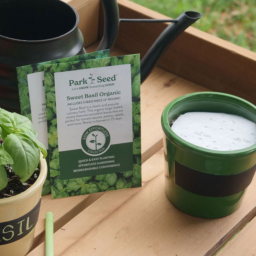 Sow Effortless Collection™ Organic Sweet Basil Seed Discs Set of 3