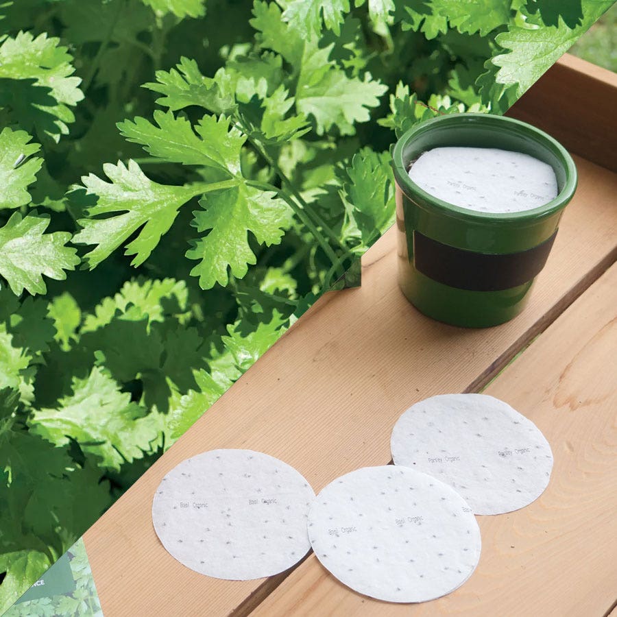 Sow Effortless Collection™ Organic Cilantro Seed Discs Set of 3