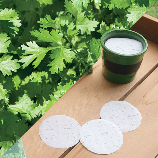 Sow Effortless Collection™ Organic Cilantro Seed Discs Set of 3