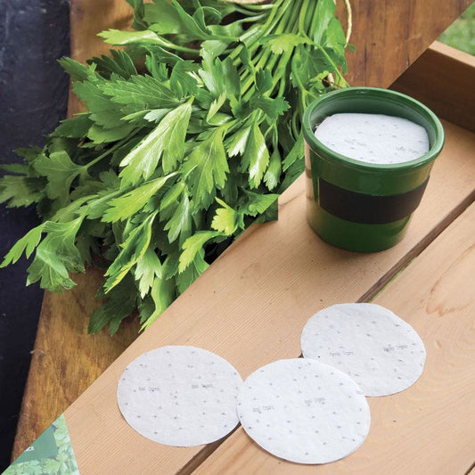 Sow Effortless Collection™ Organic Flat Leaf Parsley Seed Discs Set of 3