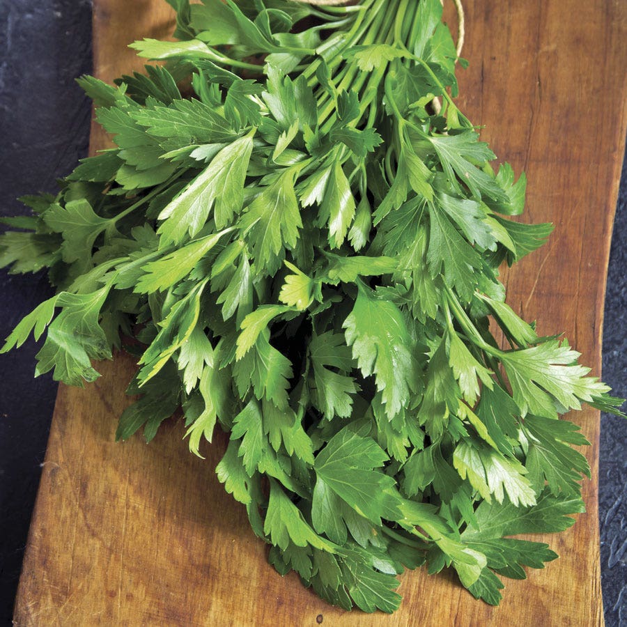 Sow Effortless Collection™ Organic Flat Leaf Parsley Seed Discs Set of 3