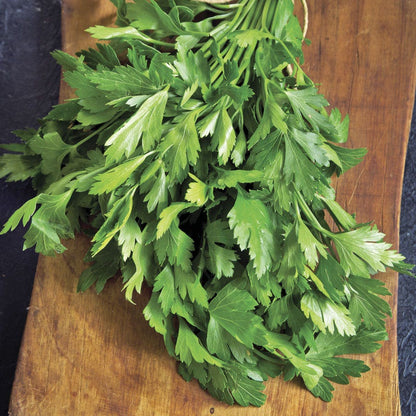 Sow Effortless Collection™ Organic Flat Leaf Parsley Seed Discs Set of 3