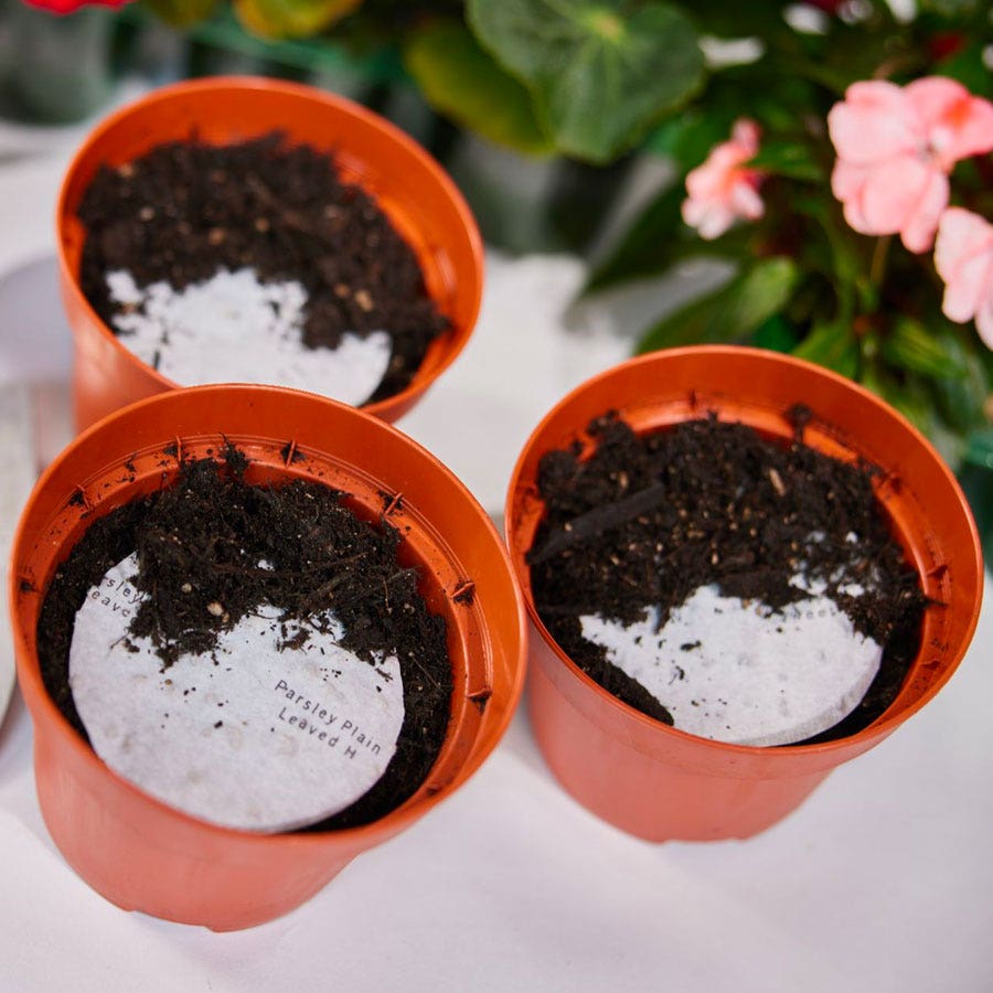 Sow Effortless Collection™ Organic Flat Leaf Parsley Seed Discs Set of 3